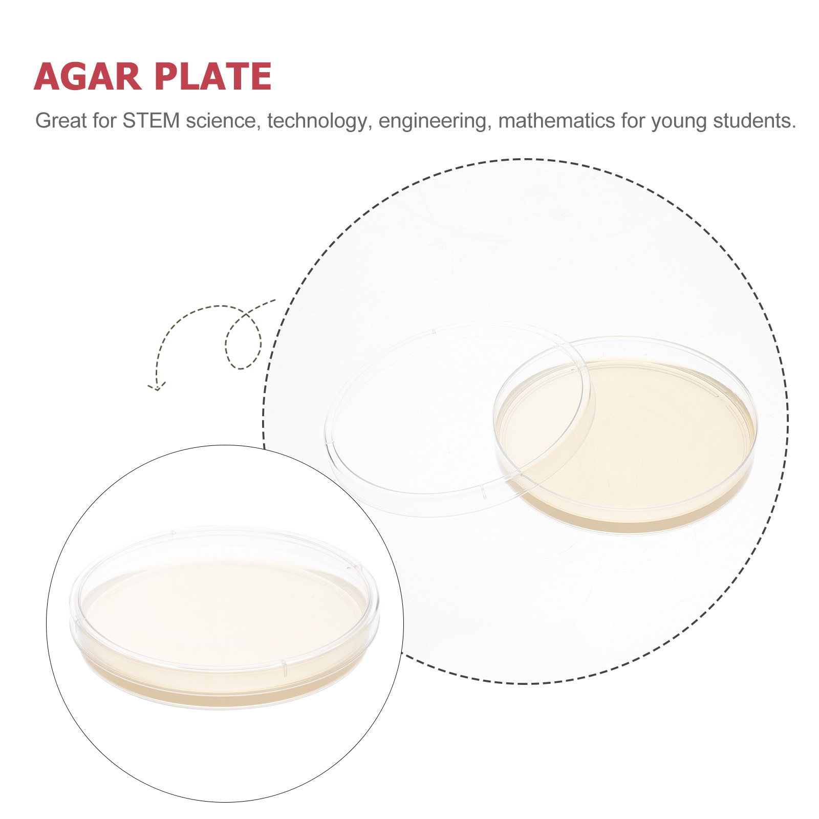 10pcs Nutrient Agar Plates Pre - Agar Tissue Culture avis et prix