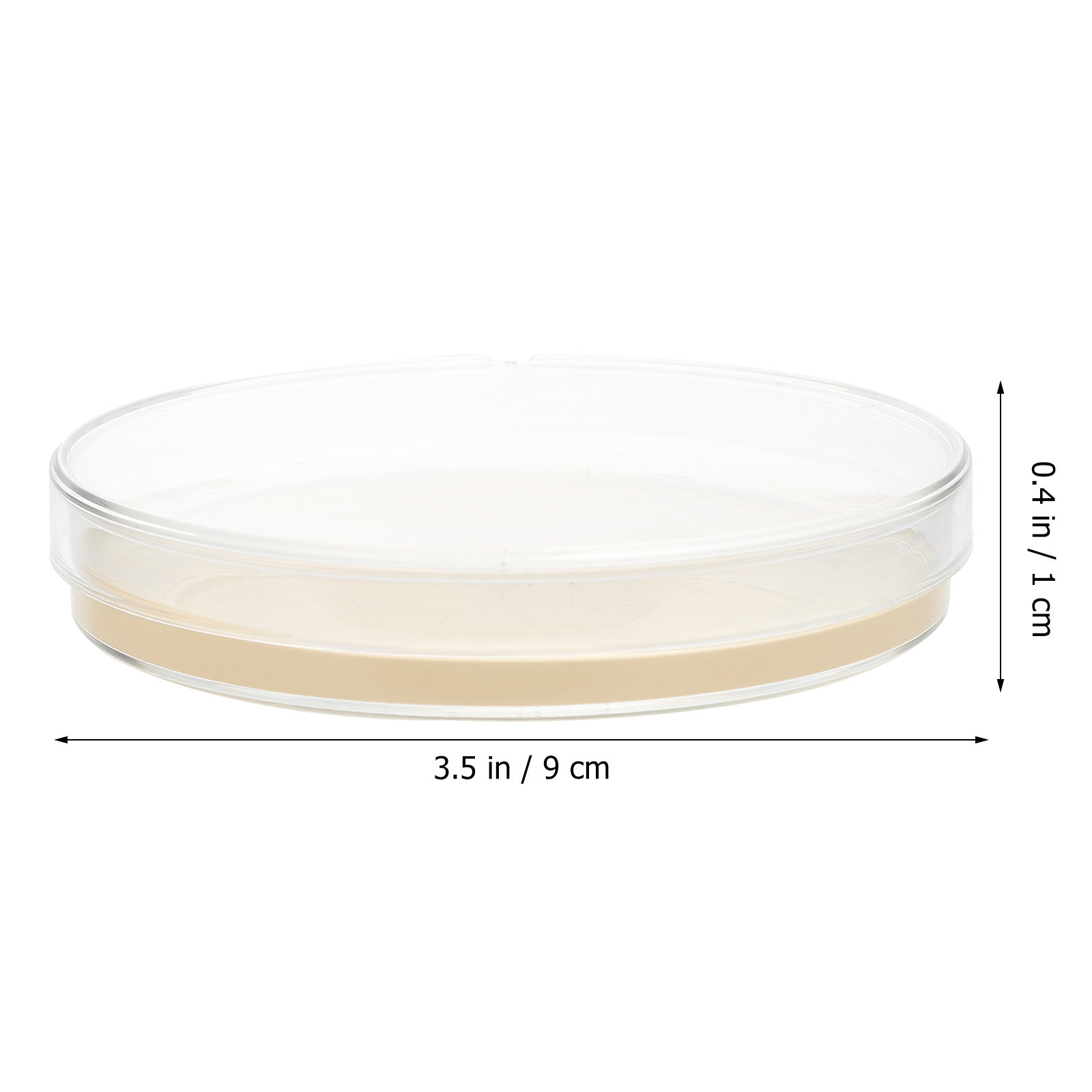 10pcs Nutrient Agar Plates Pre - Agar Tissue Culture avis et prix