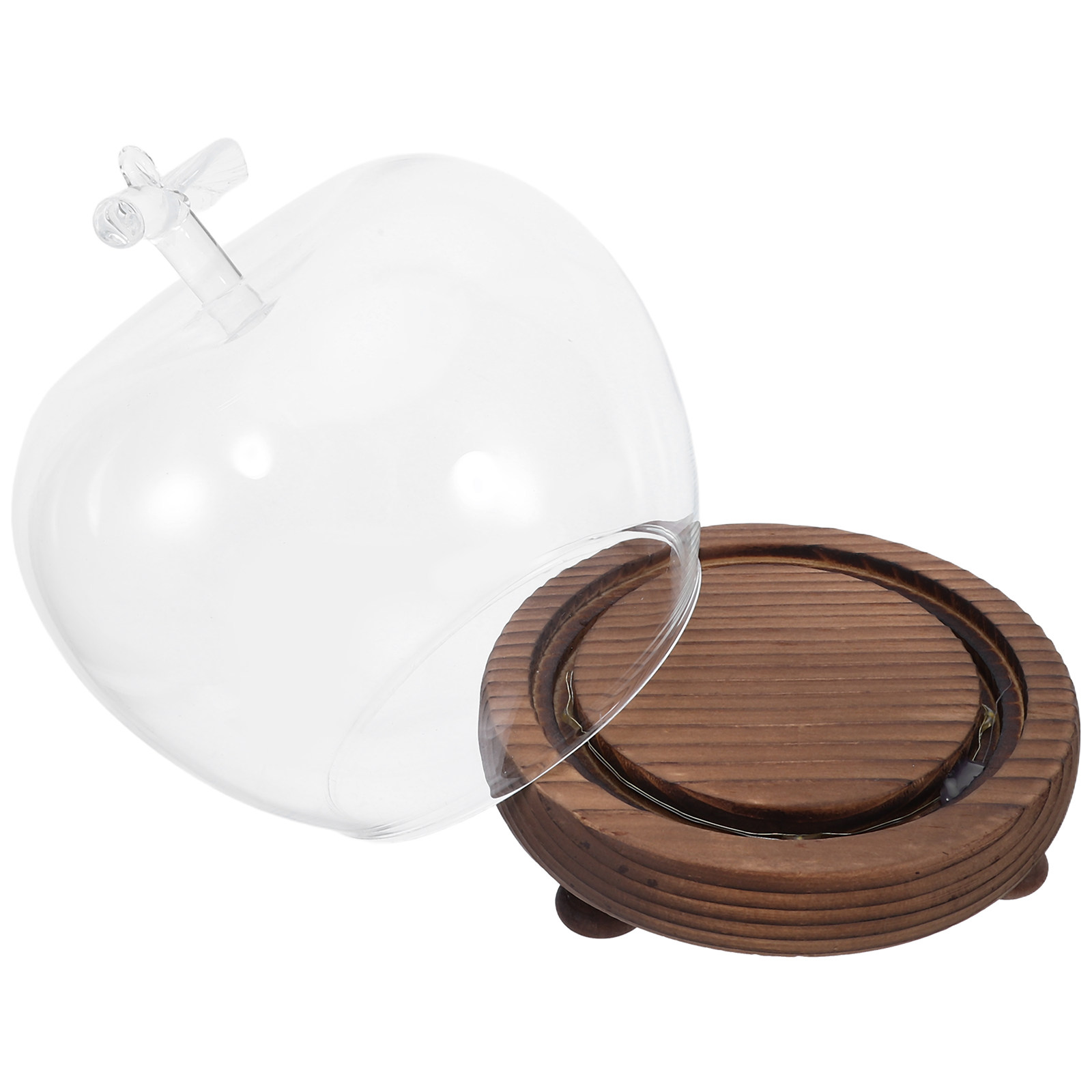 Clear Glass Dome Display with  - Plastic Dome Clear avis et prix
