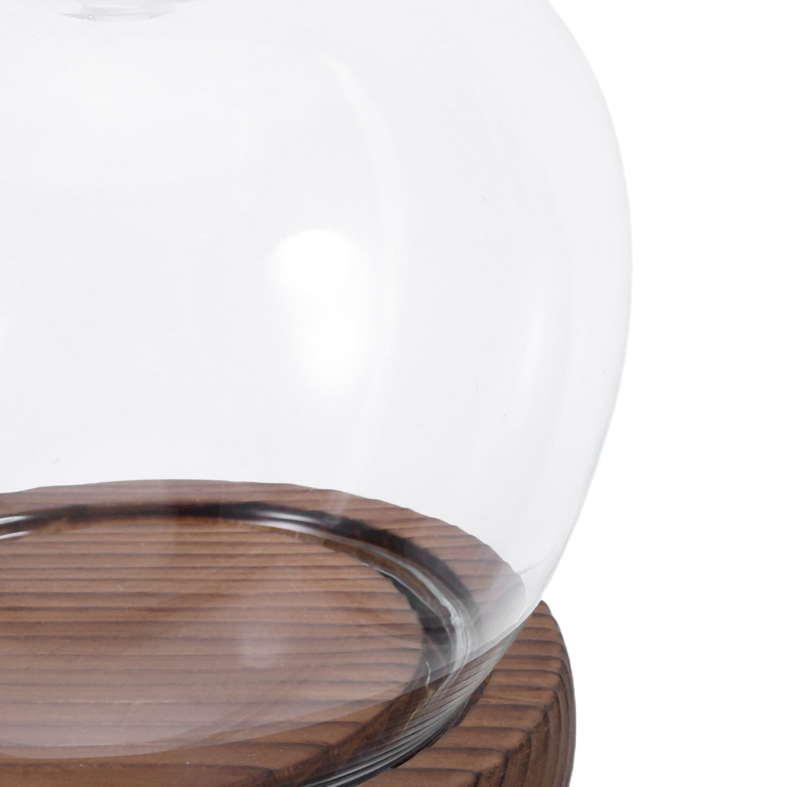 Clear Glass Dome Display with  - Plastic Dome Clear avis et prix