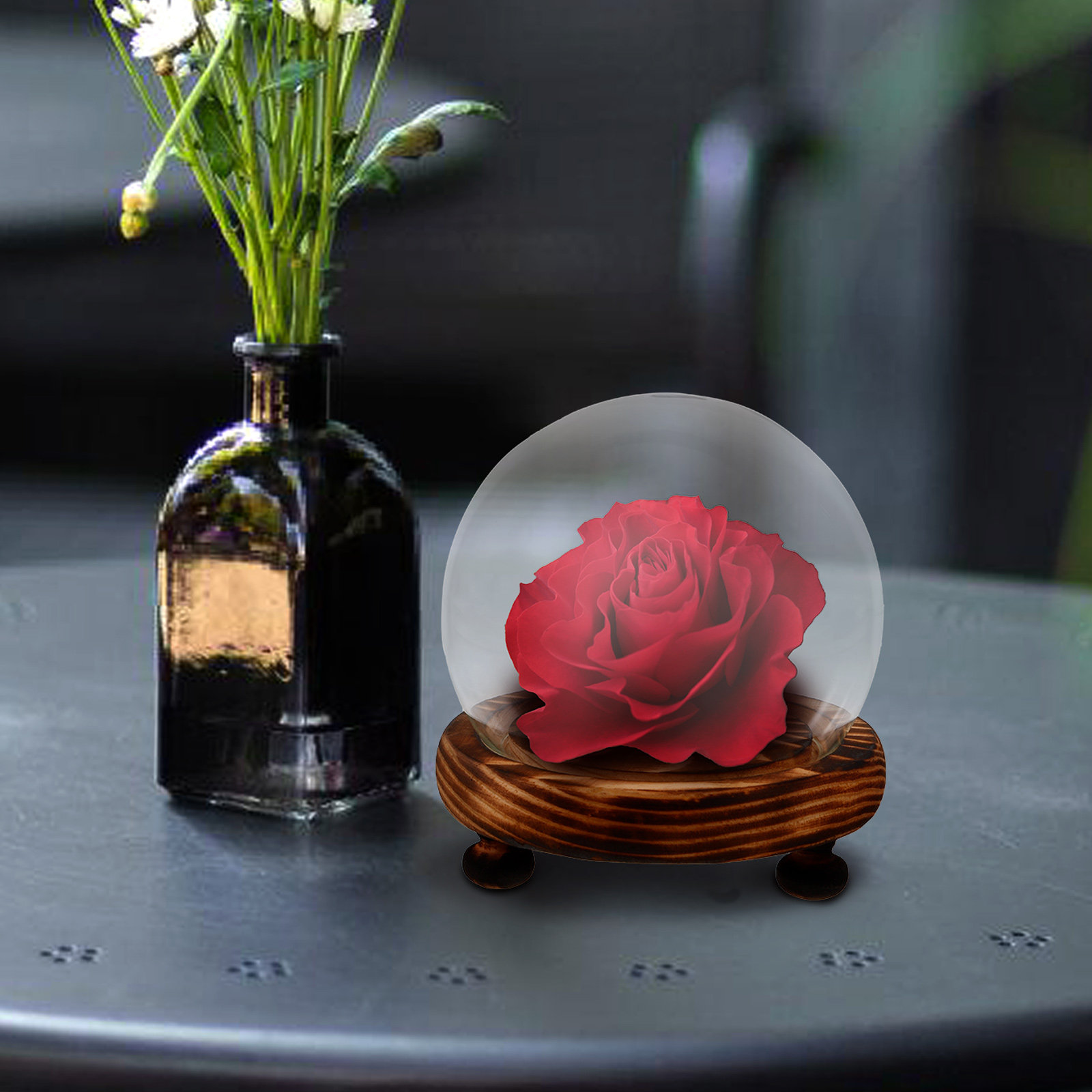 Glass Dome Display Case with W - Plastic Dome Clear avis et prix