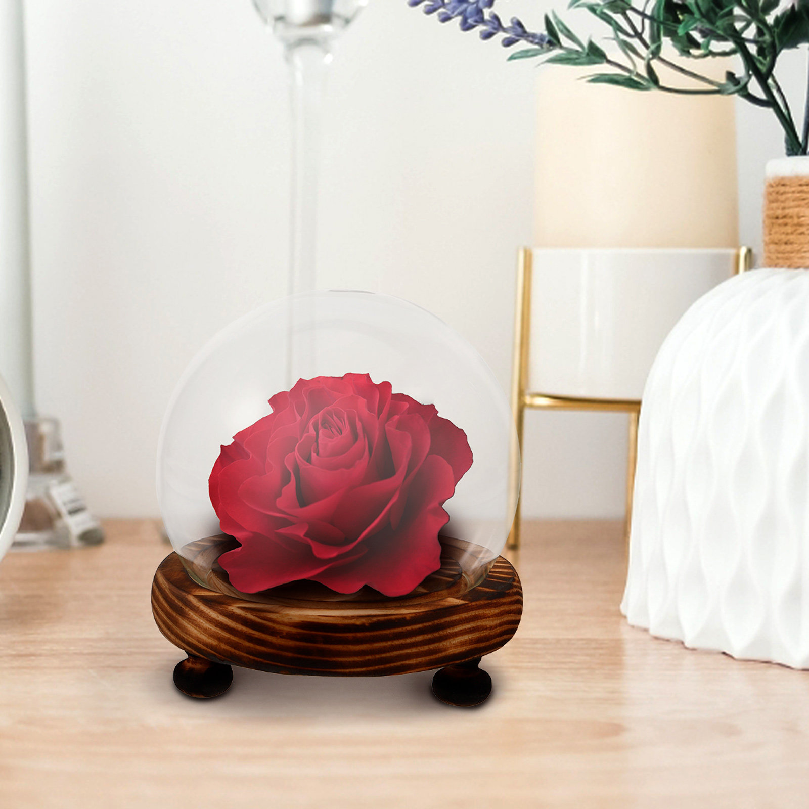 Glass Dome Display Case with W - Plastic Dome Clear avis et prix