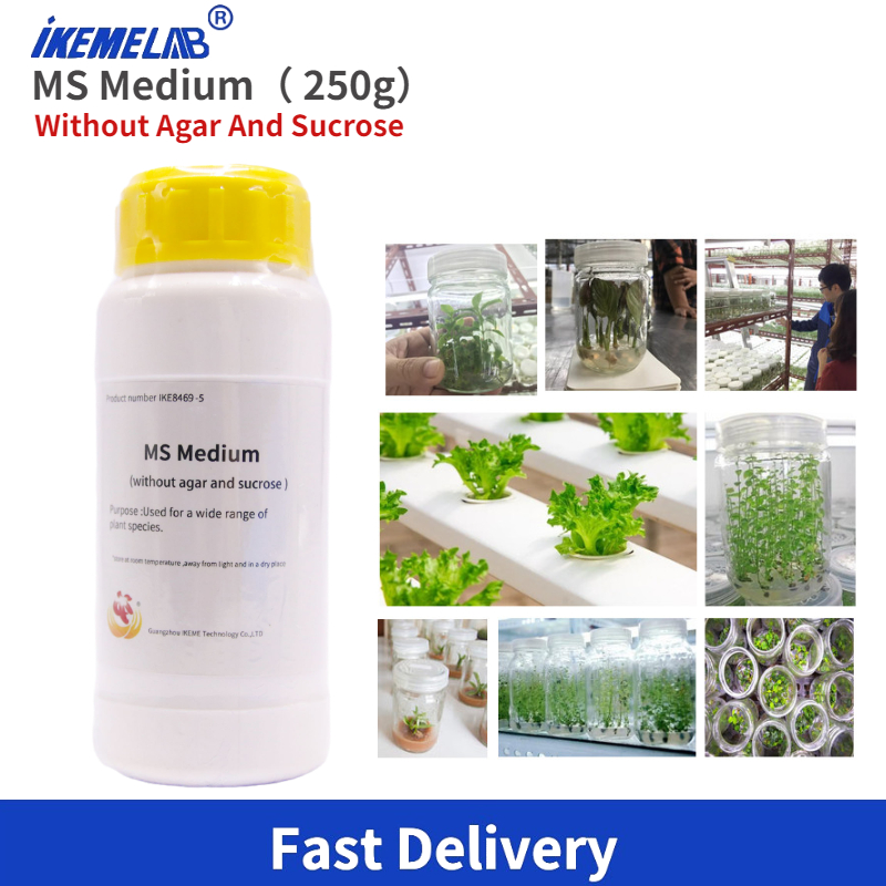 IKEME Lab MS Medium 250g Witho - Agar Tissue Culture avis et prix