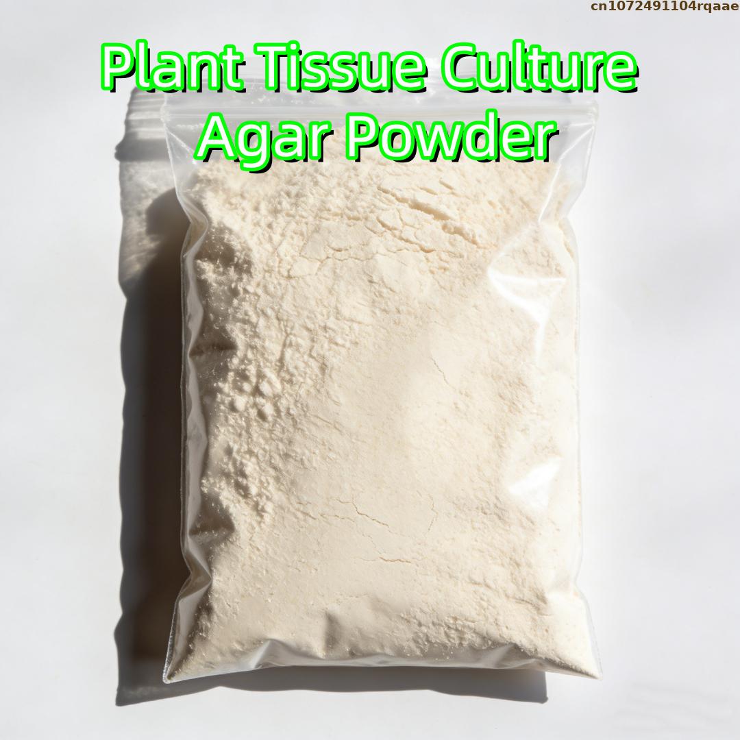 Premium Plant Tissue Culture A - Agar Tissue Culture avis et prix