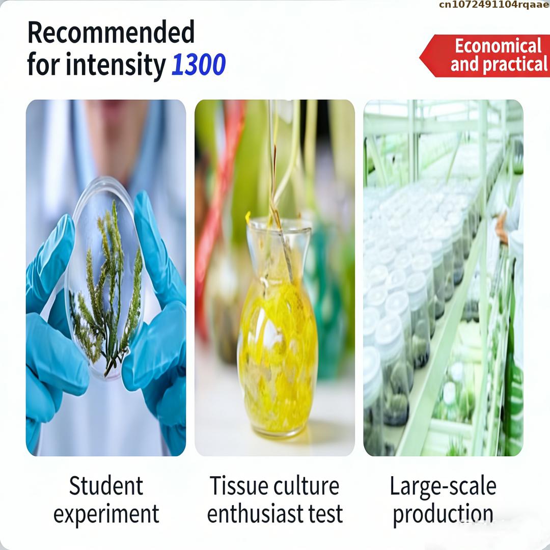 Premium Plant Tissue Culture A - Agar Tissue Culture avis et prix