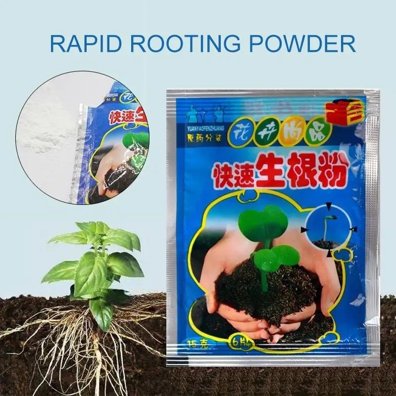 5pcs Fast Rooting Powder Plant - Rooting Hormone Powder avis et prix