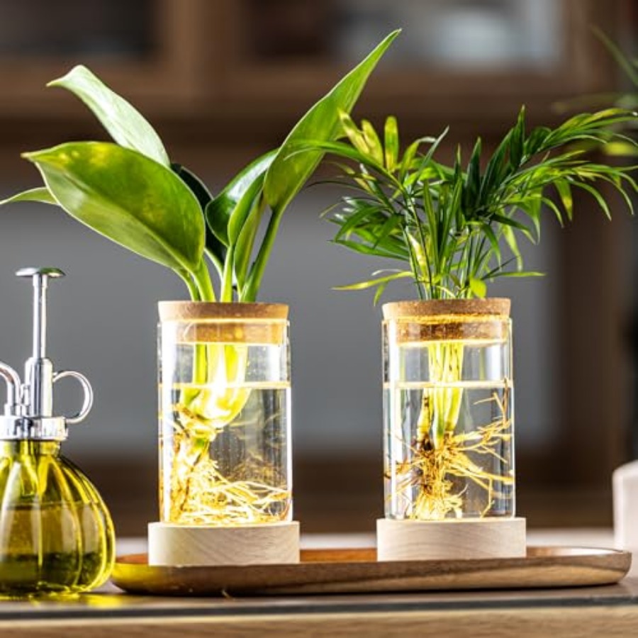 Glass Plant Propagation Statio - Propagation Station Vase avis et prix
