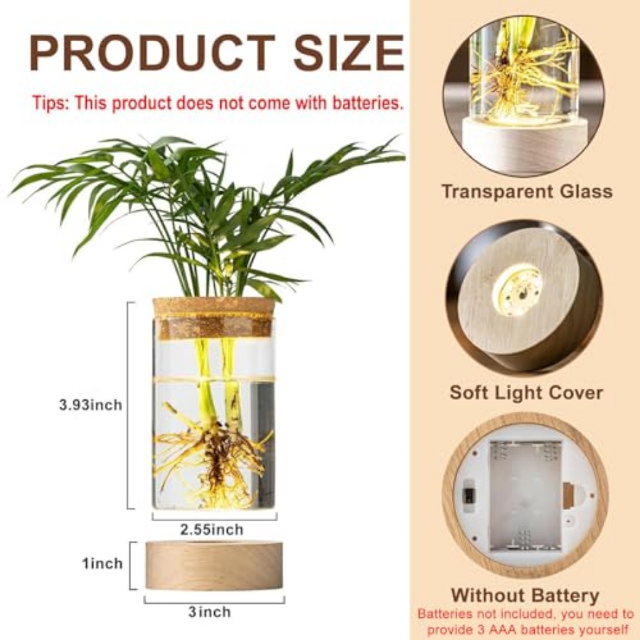 Glass Plant Propagation Statio - Propagation Station Vase avis et prix