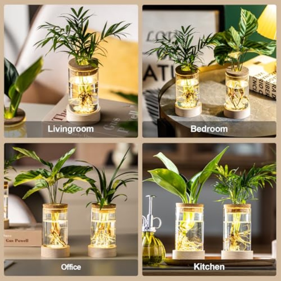 Glass Plant Propagation Statio - Propagation Station Vase avis et prix