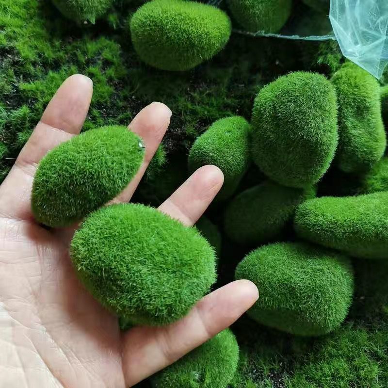Artificial Green Moss Stones f - Sphagnum Moss Dry avis et prix