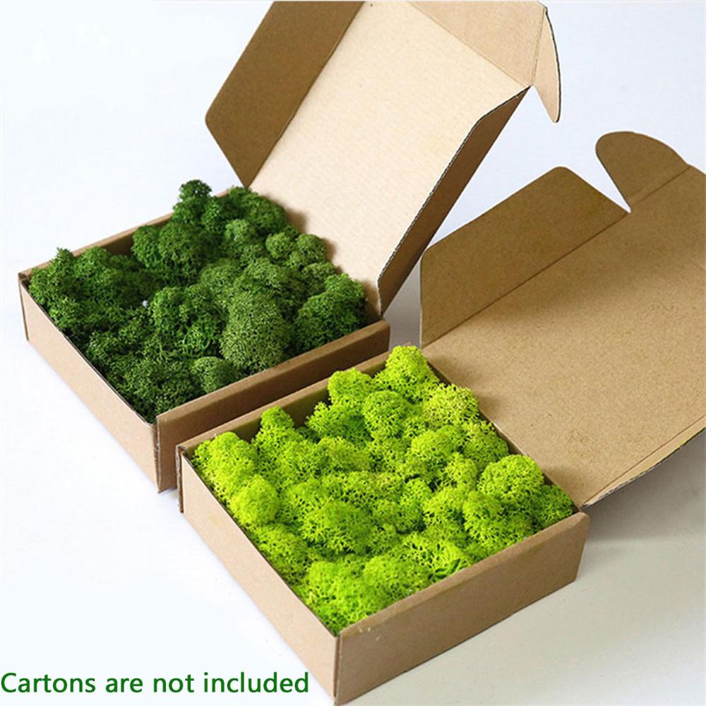Artificial Plant Eternal Life  - Sphagnum Moss Dry avis et prix