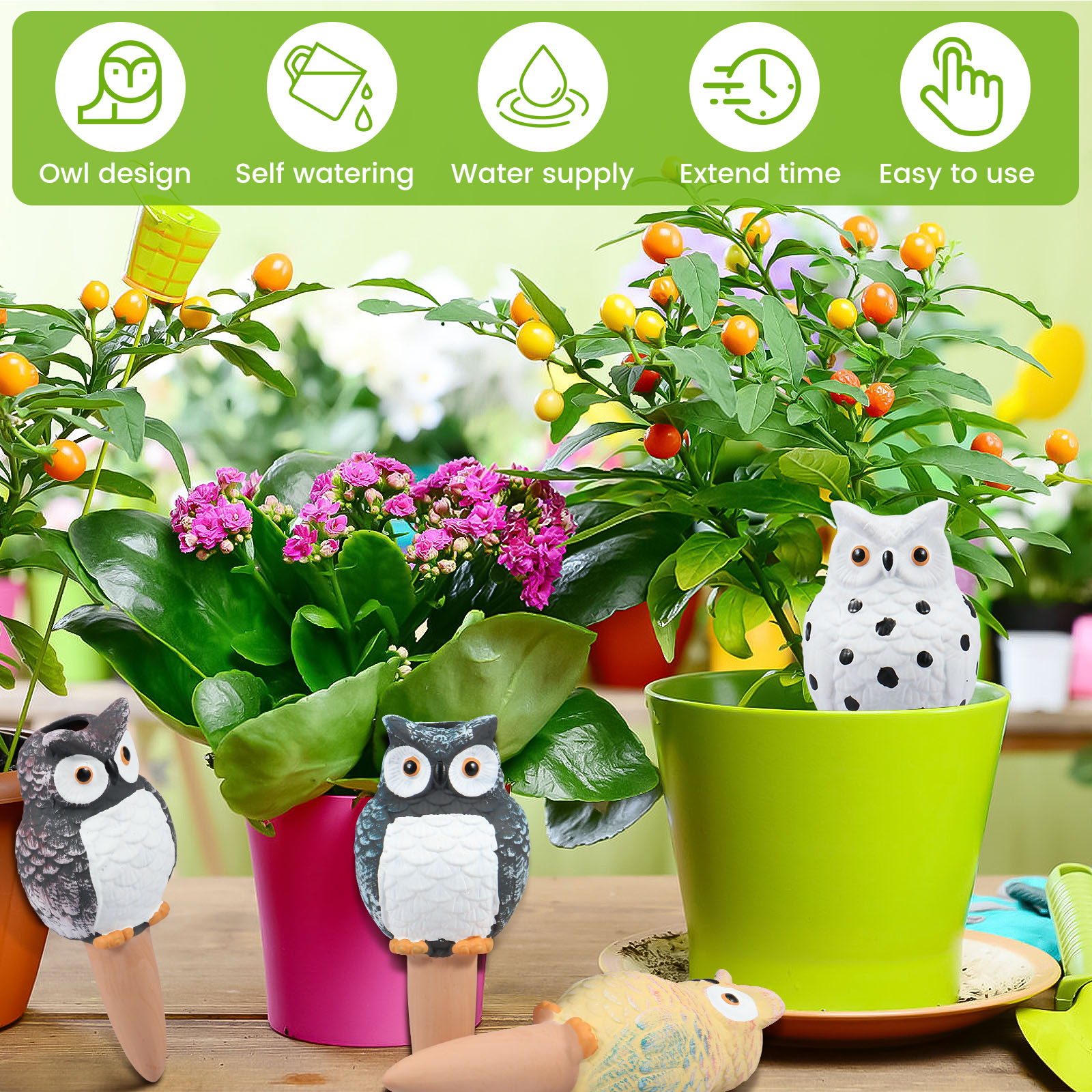 4Pcs Self-Watering Spikes Dive - Self Watering Insert avis et prix
