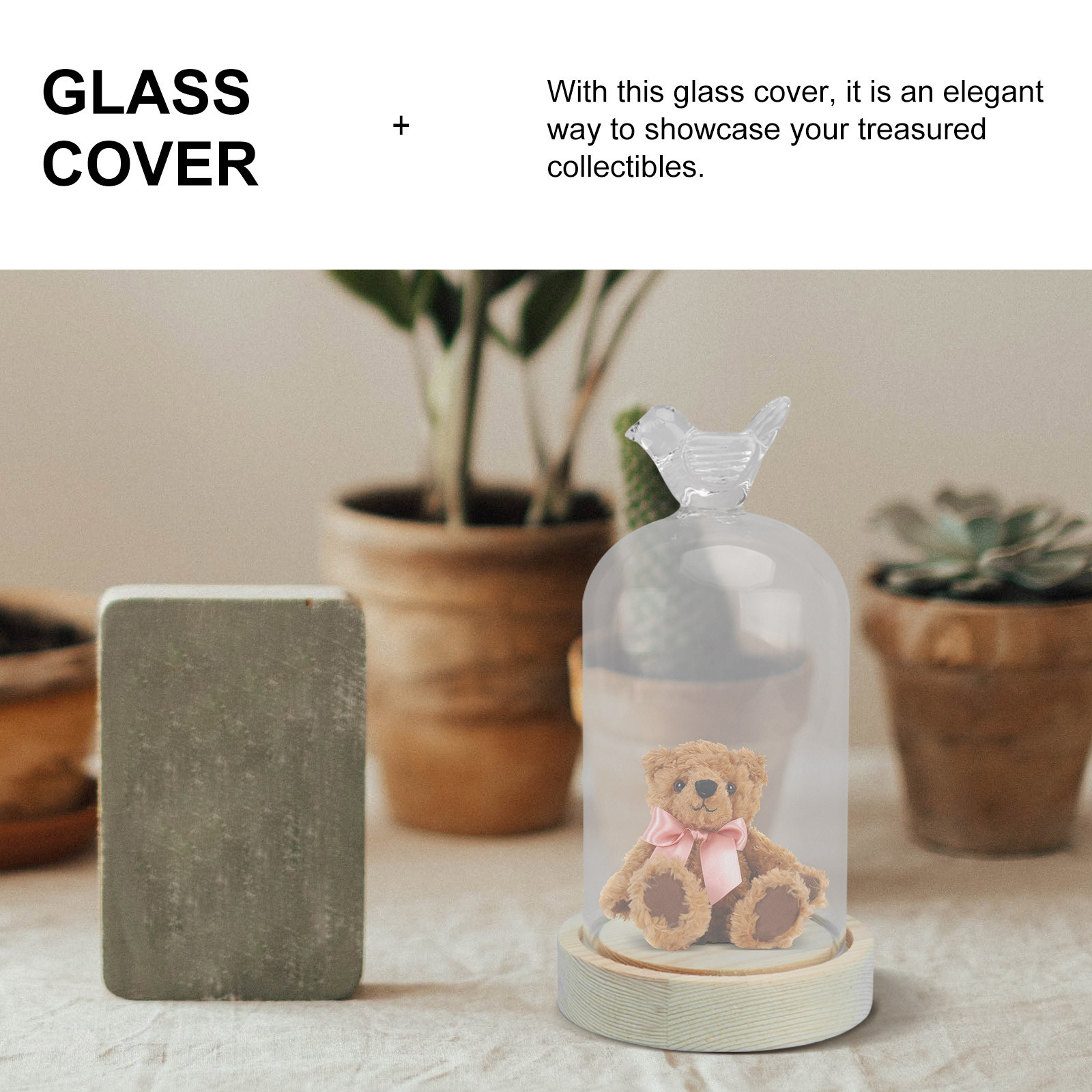 1Pcs Glass Display Cover Clear - Plastic Dome Clear avis et prix