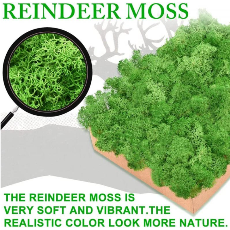New 50/30/10g Artificial Green - Sphagnum Moss Dry avis et prix