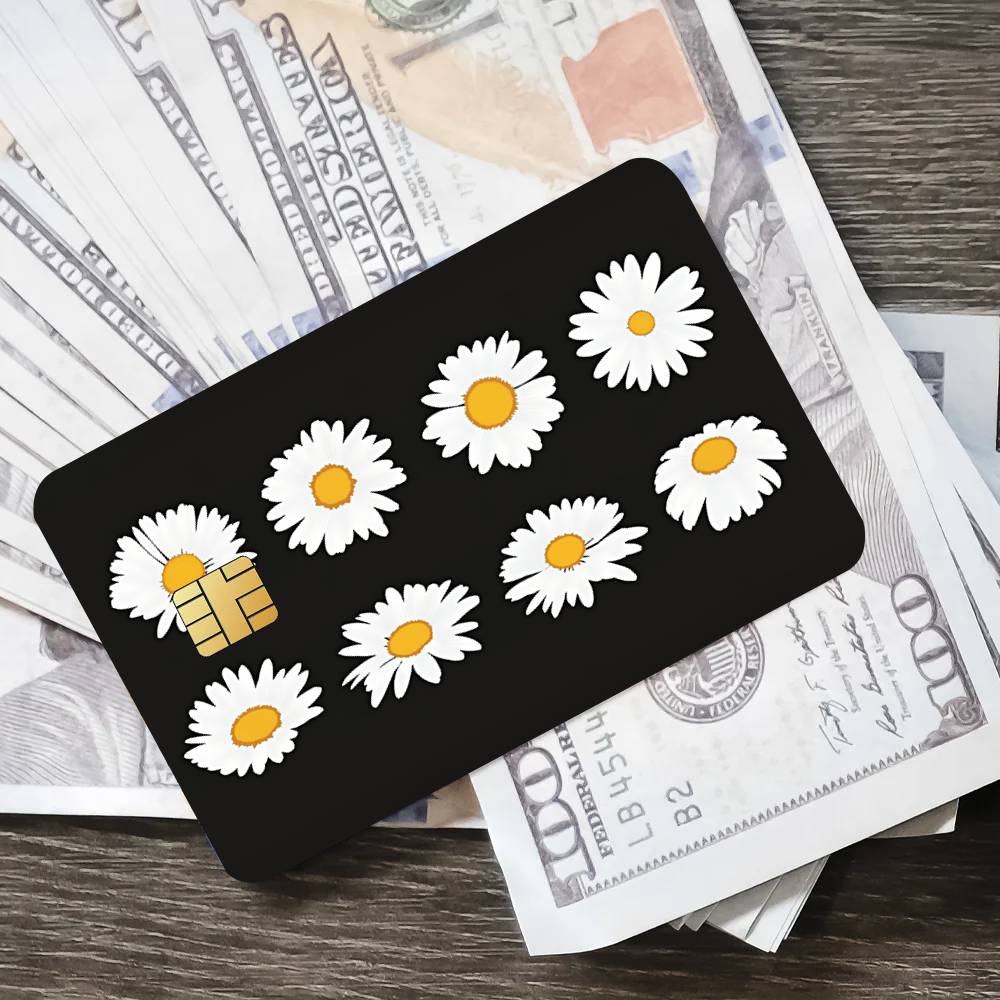 Fashion Art P-Peaceminusone Co - Peat Pellet Tray avis et prix