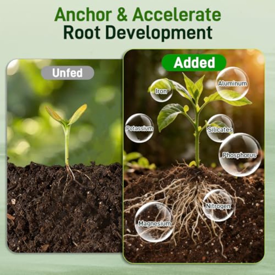 2 Mix for Indoor Plants - Cont - Coco Perlite Mix avis et prix
