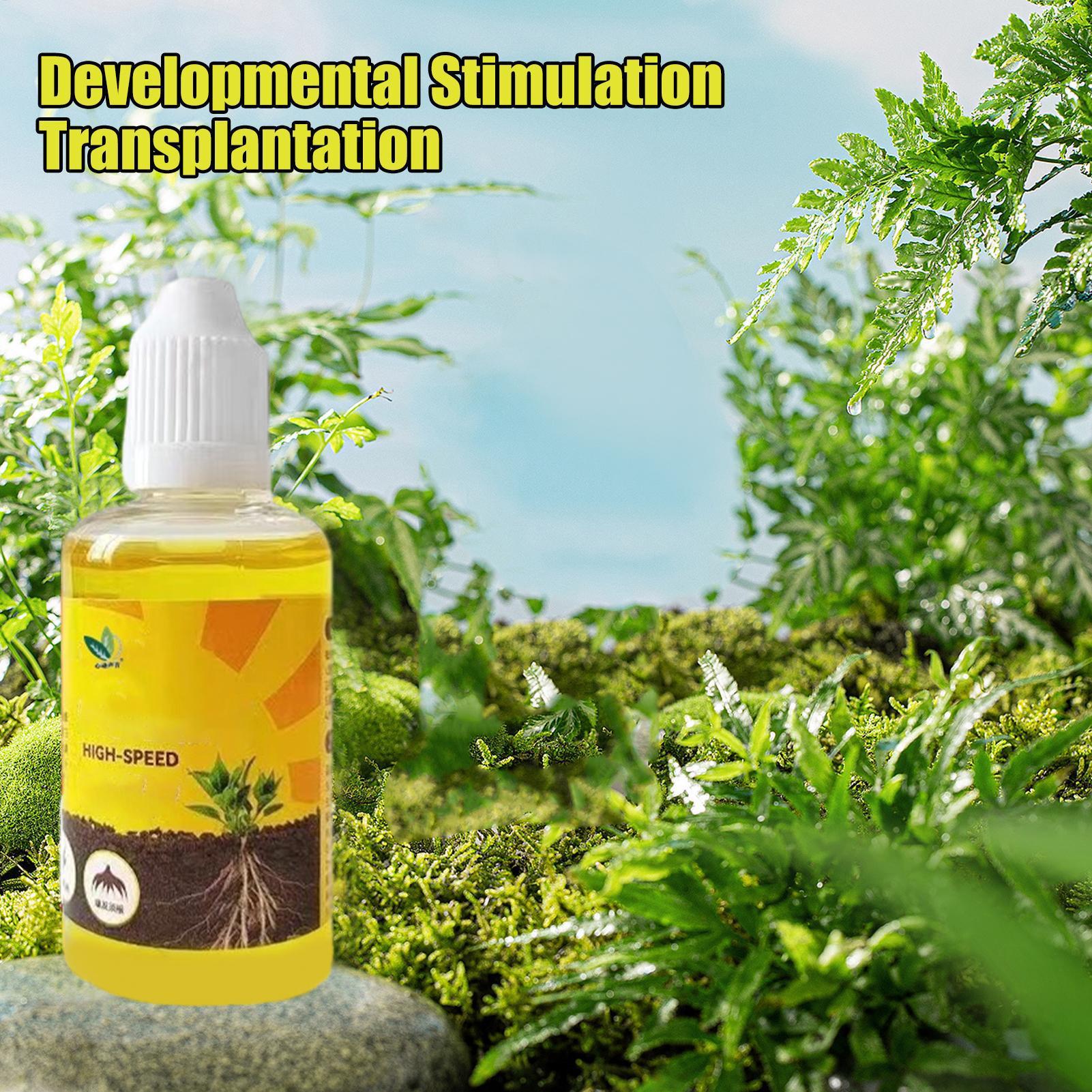 Plant Resurrection Liquid 50ml - Root Stimulator Liquid avis et prix