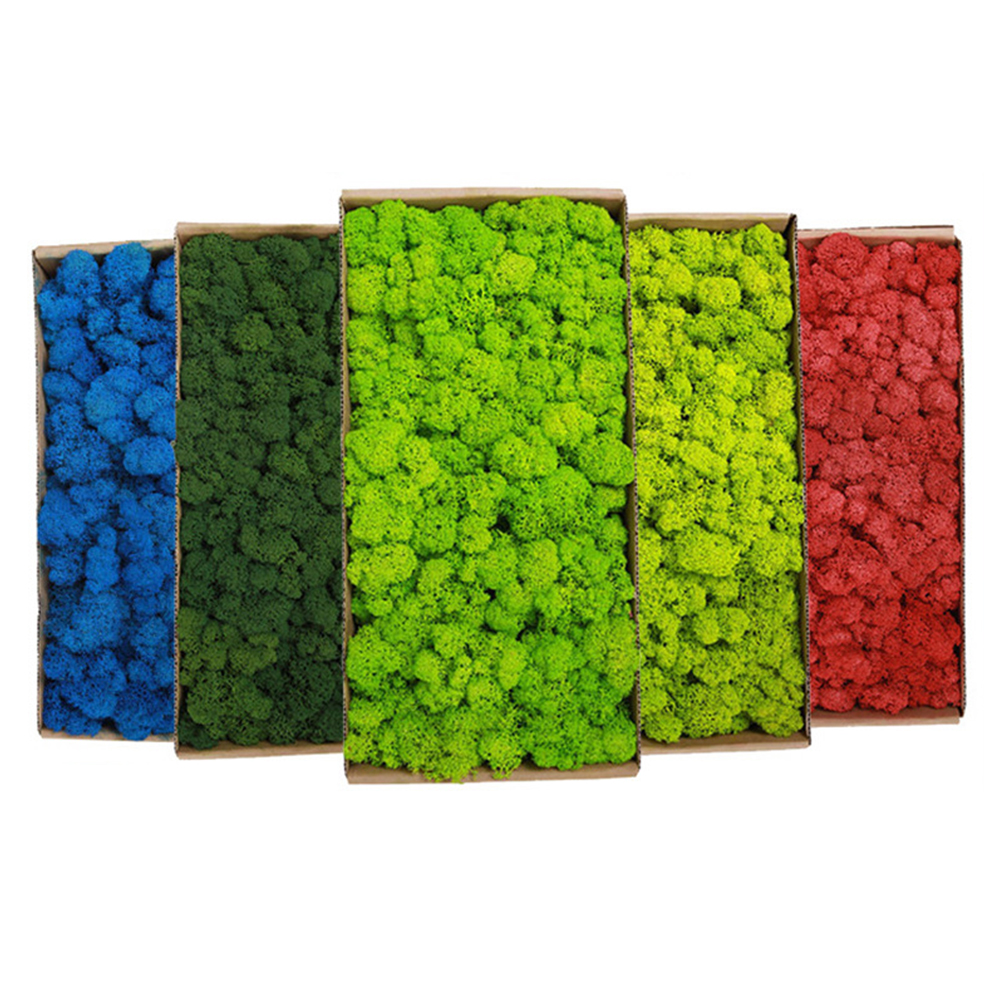 200g Artificial Green Plants M - Sphagnum Moss Dry avis et prix