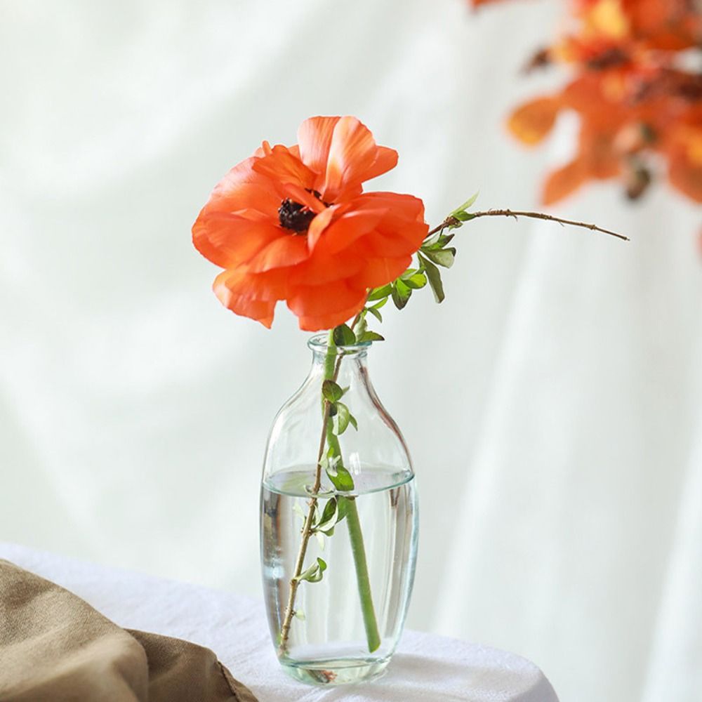 Fashion Retro Flower Vase Glas - Propagation Station Vase avis et prix