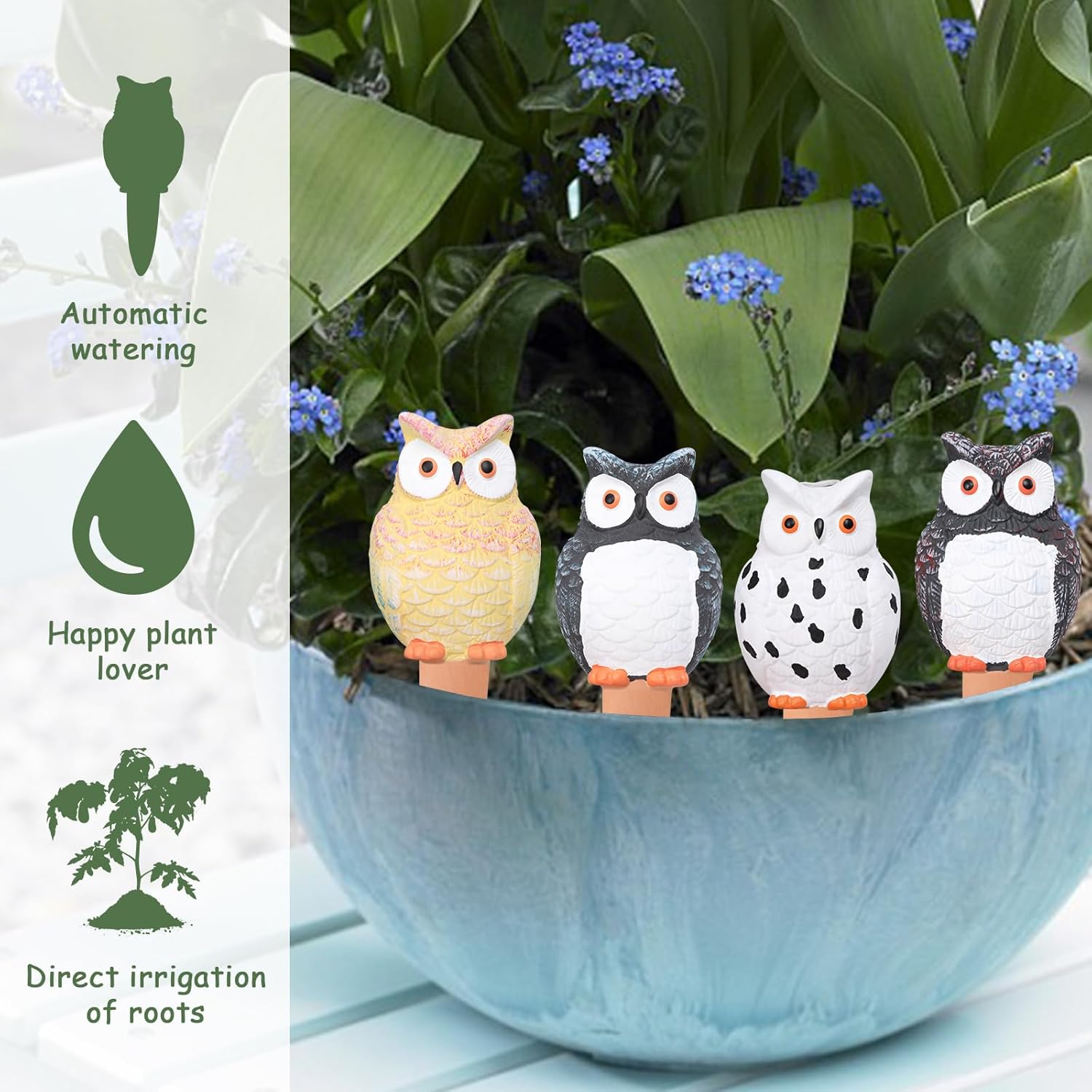 Self Plant Watering Globes Ter - Self Watering Insert avis et prix