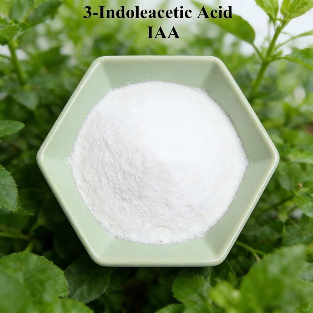 3-indoleacetic Acid IAA Auxina - Rooting Hormone Powder avis et prix
