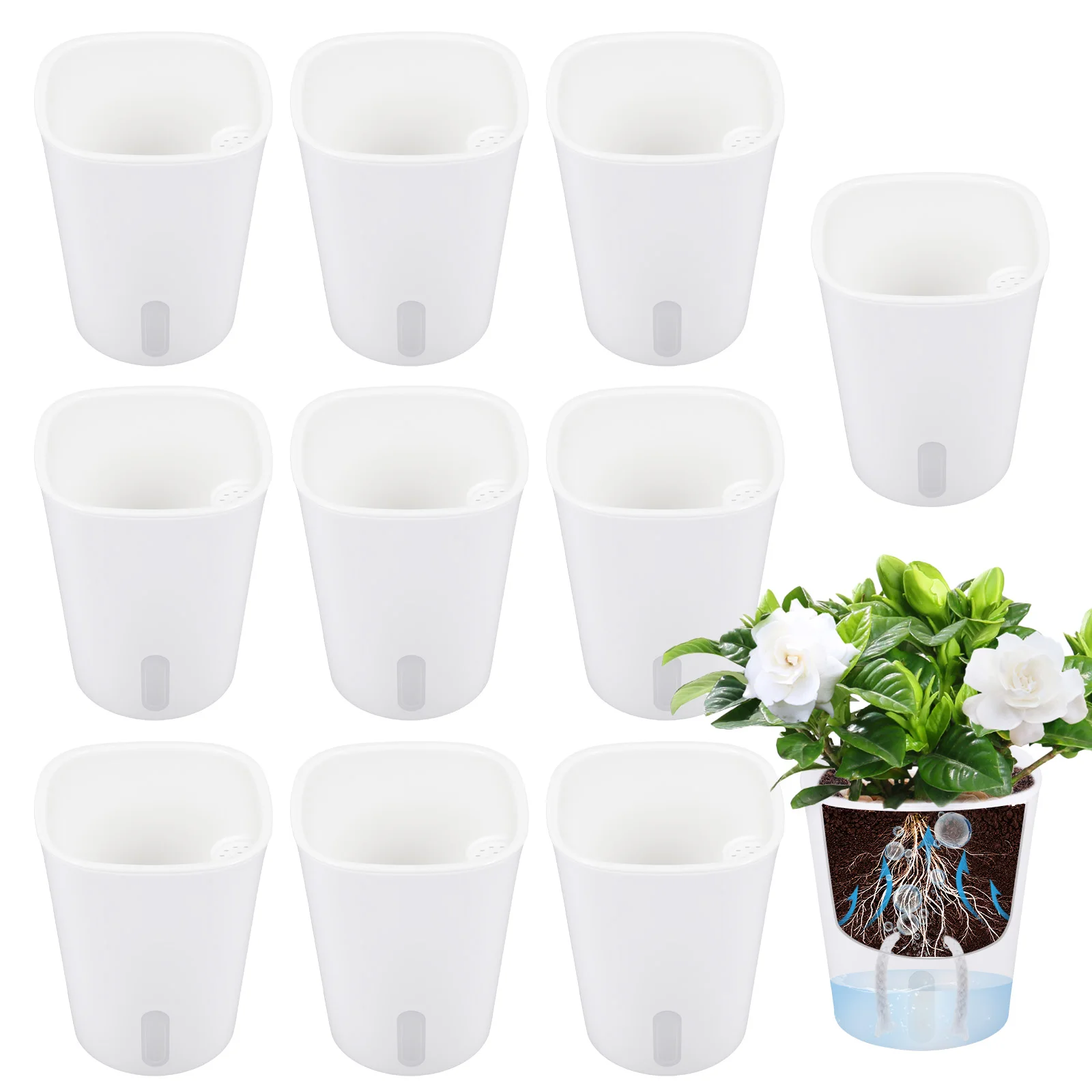 10 Pcs Self Watering Planter L - Self Watering Insert avis et prix