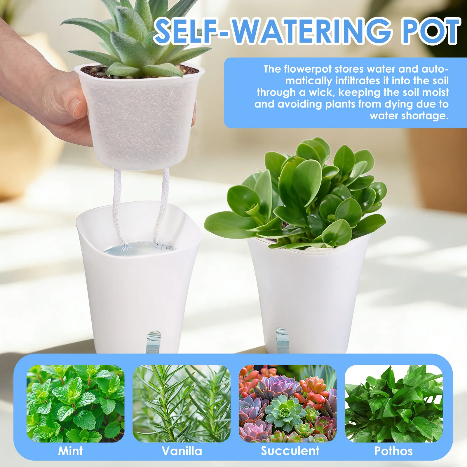 10 Pcs Self Watering Planter L - Self Watering Insert avis et prix