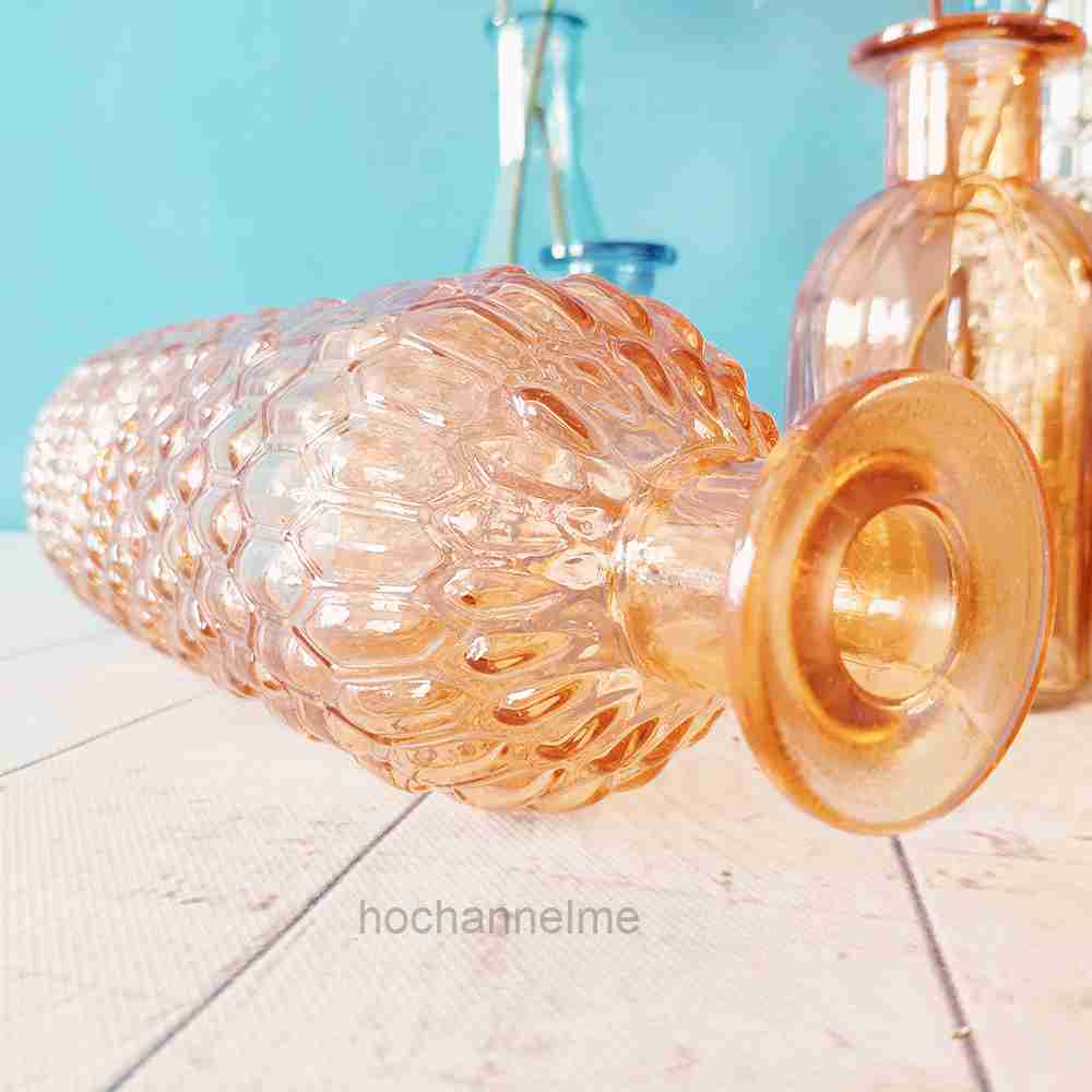 Glass Vase Living Room Decorat - Propagation Station Vase avis et prix