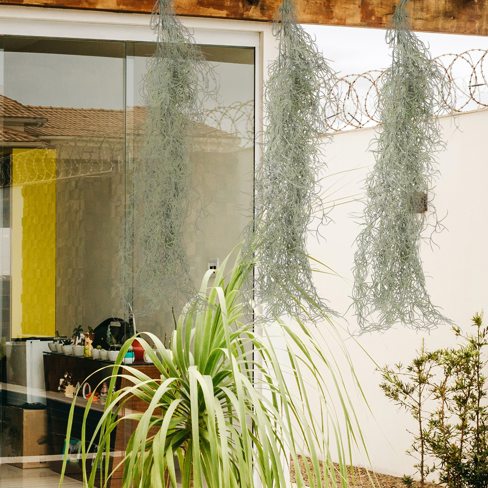 Hanging Moss Decor Artificial  - Sphagnum Moss Dry avis et prix