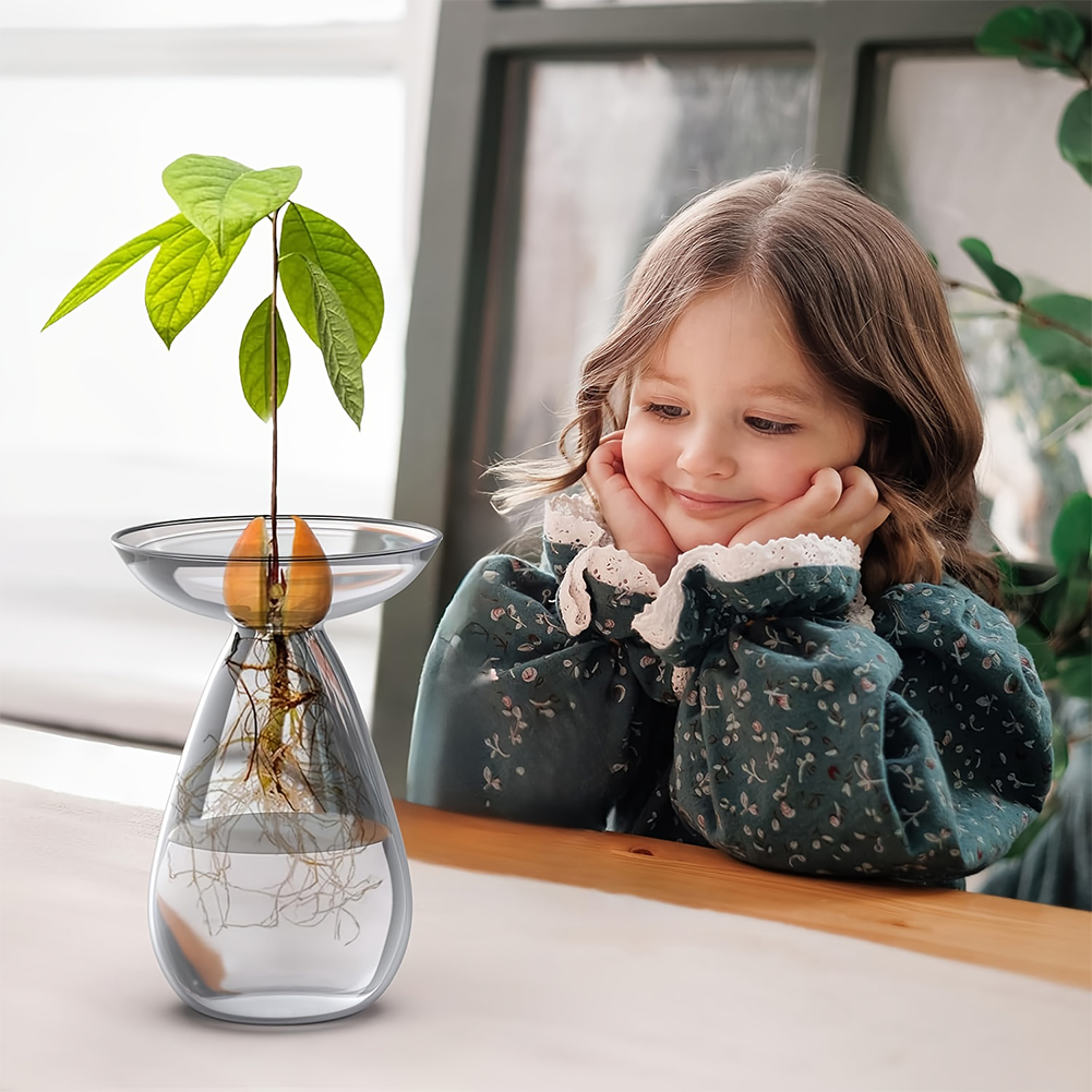 Avocado Seed Starter Vase Tran - Propagation Station Vase avis et prix