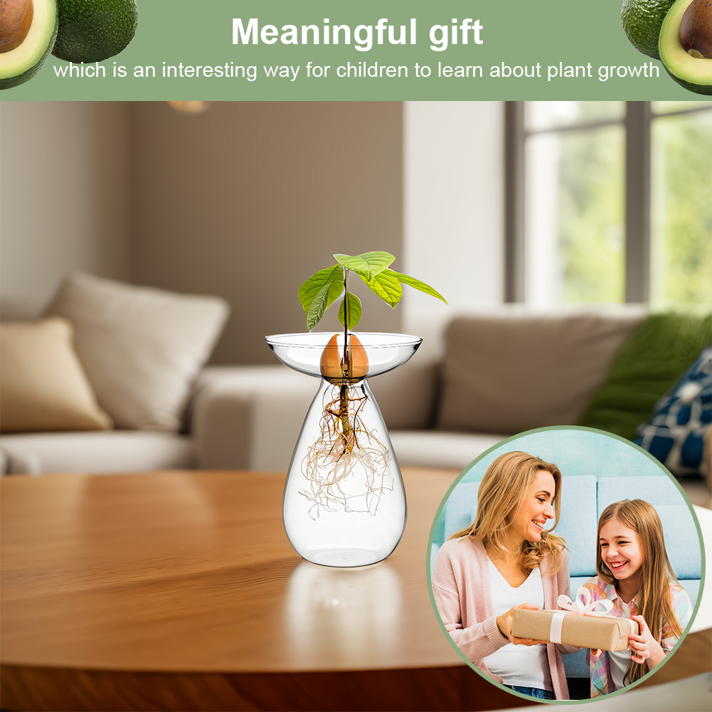 Avocado Seed Starter Vase Tran - Propagation Station Vase avis et prix