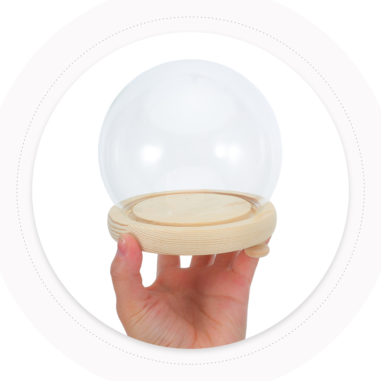 Dried Flower Glass Dome Displa - Plastic Dome Clear avis et prix