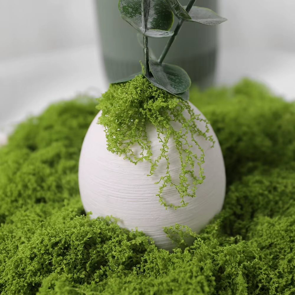 30/100g Artificial Green Plant - Sphagnum Moss Dry avis et prix