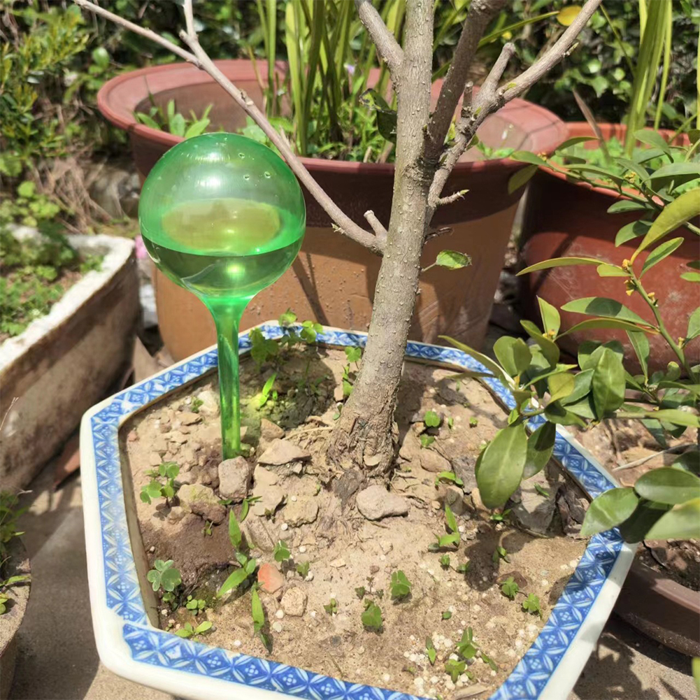 Automatic Plant Watering Bulbs - Self Watering Insert avis et prix