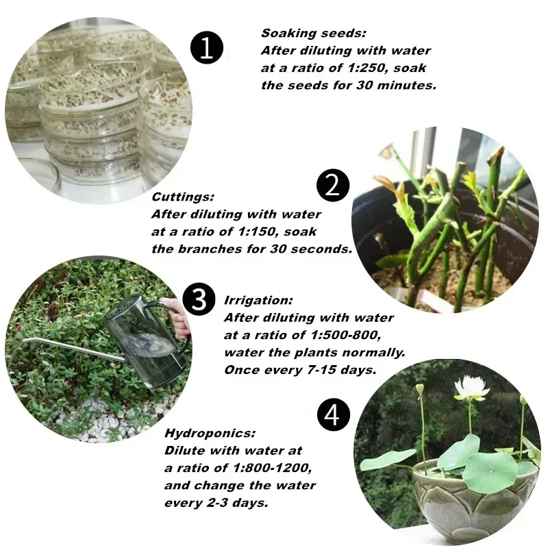10g Quickly Rooting Powder Hor - Rooting Hormone Powder avis et prix