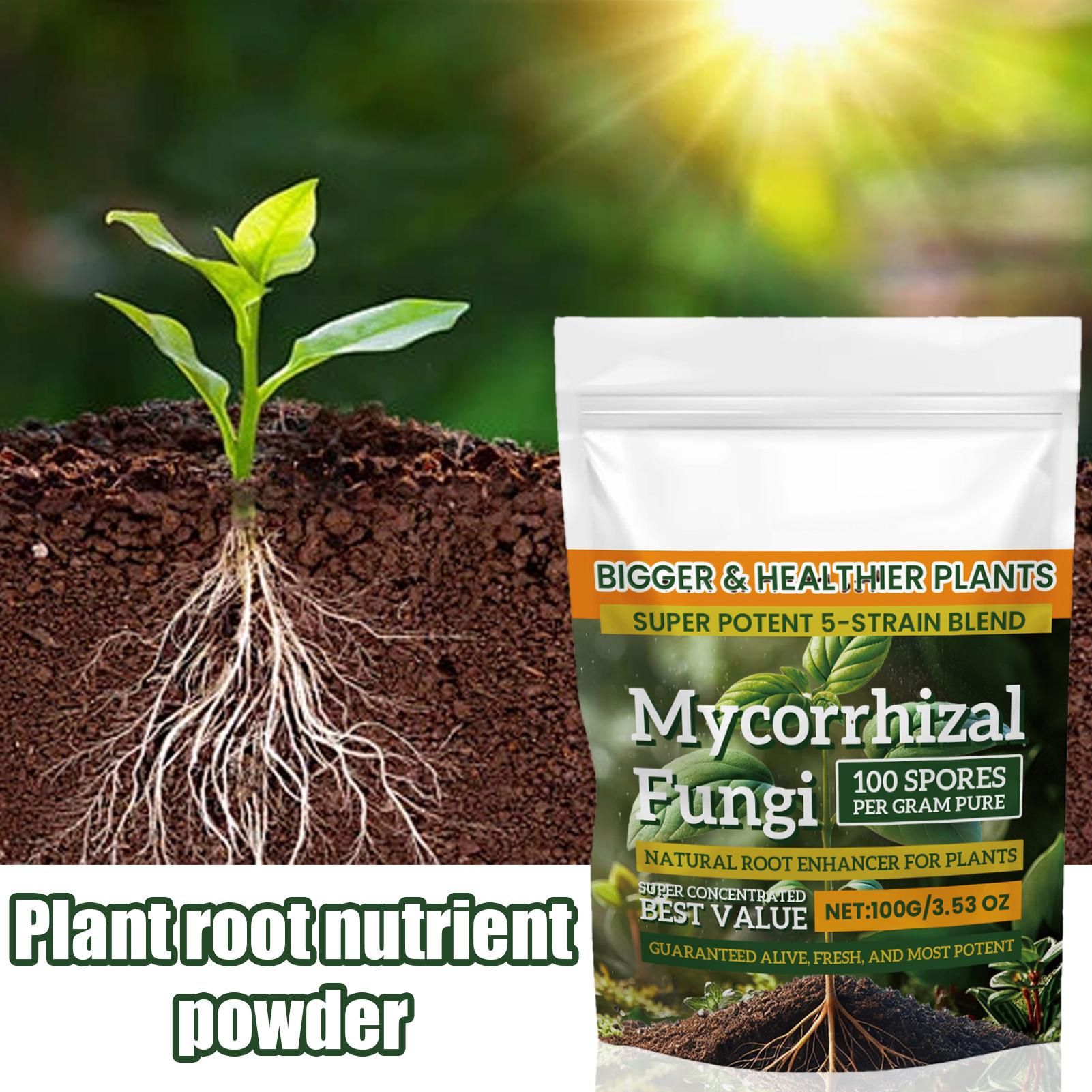 Plant Growth Enhancer Powder 1 - Rooting Hormone Powder avis et prix
