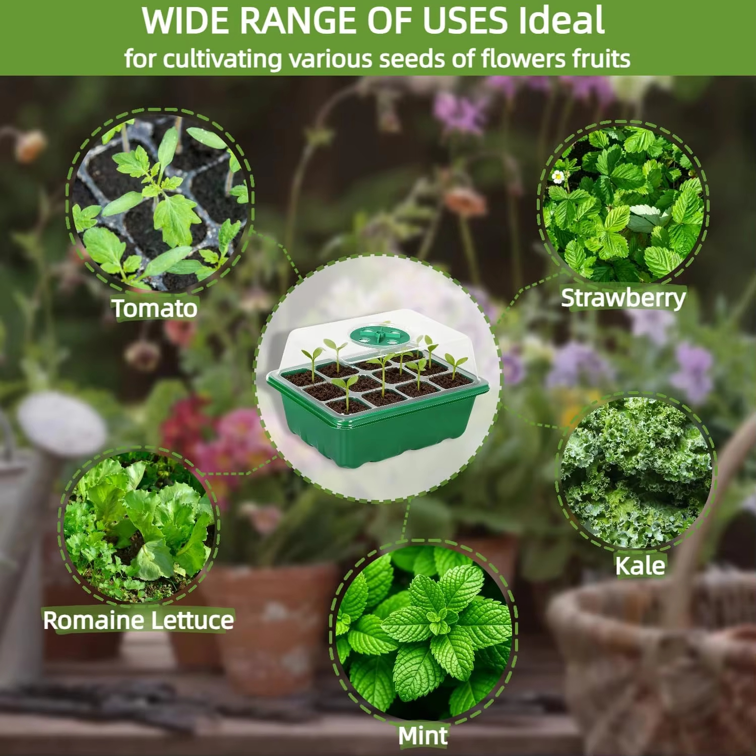 3Pcs Seed Starter Tray Mini Gr - Humidity Dome Kit avis et prix