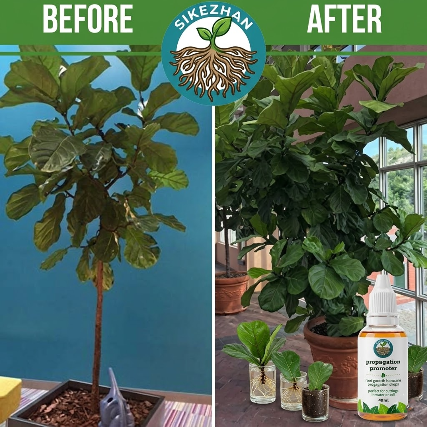 40ml Fast Plant Rooting Liquid - Root Stimulator Liquid avis et prix