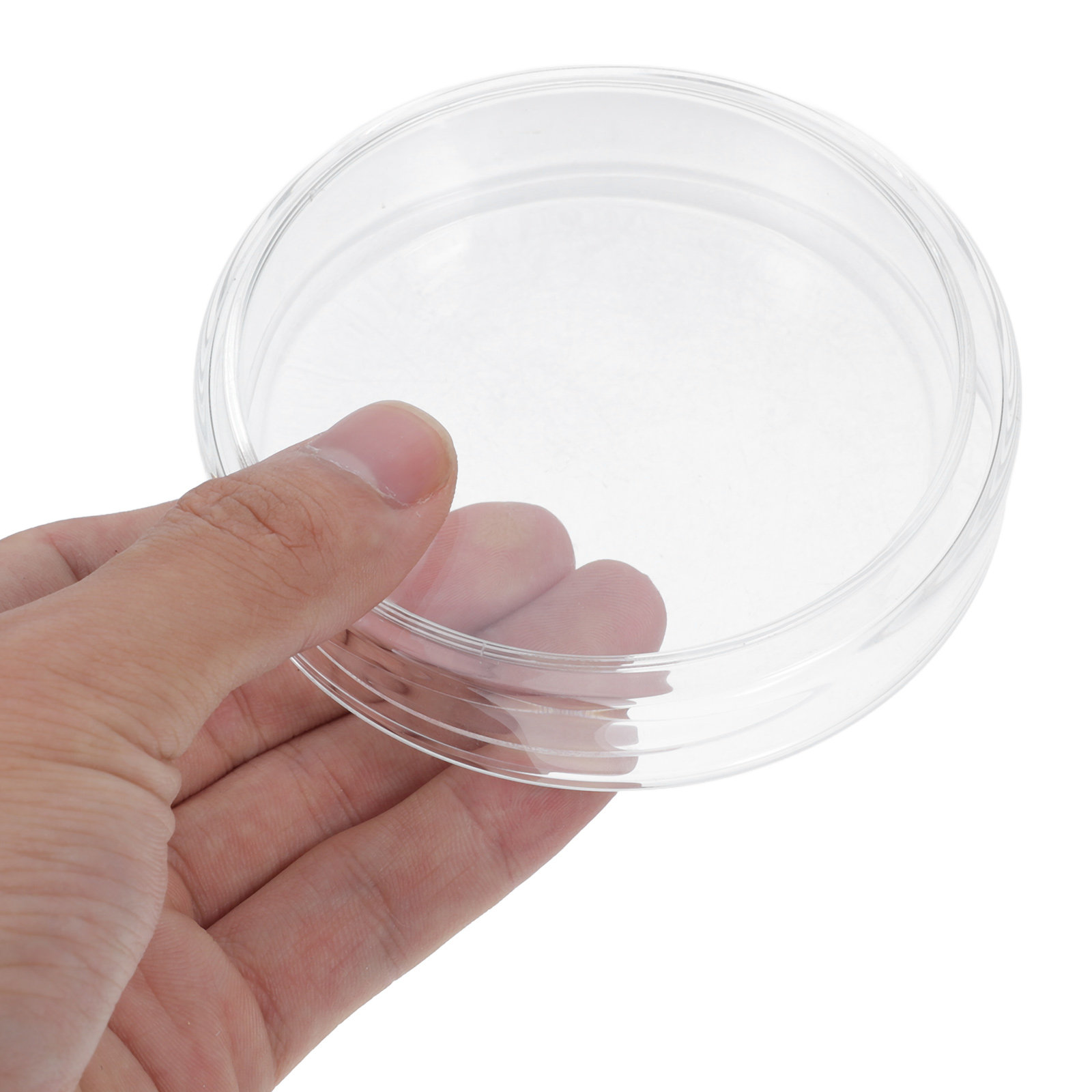 High Borosilicate Glass Petri  - Agar Tissue Culture avis et prix