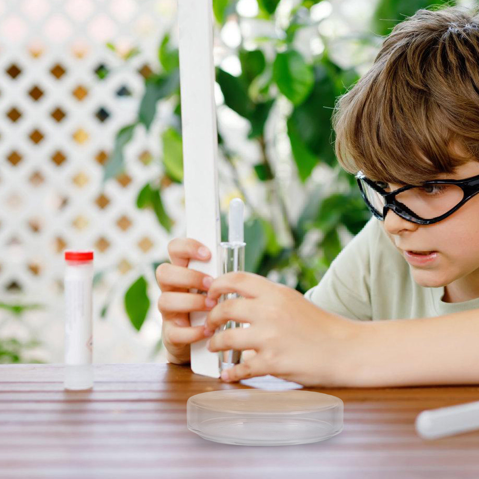 High Borosilicate Glass Petri  - Agar Tissue Culture avis et prix