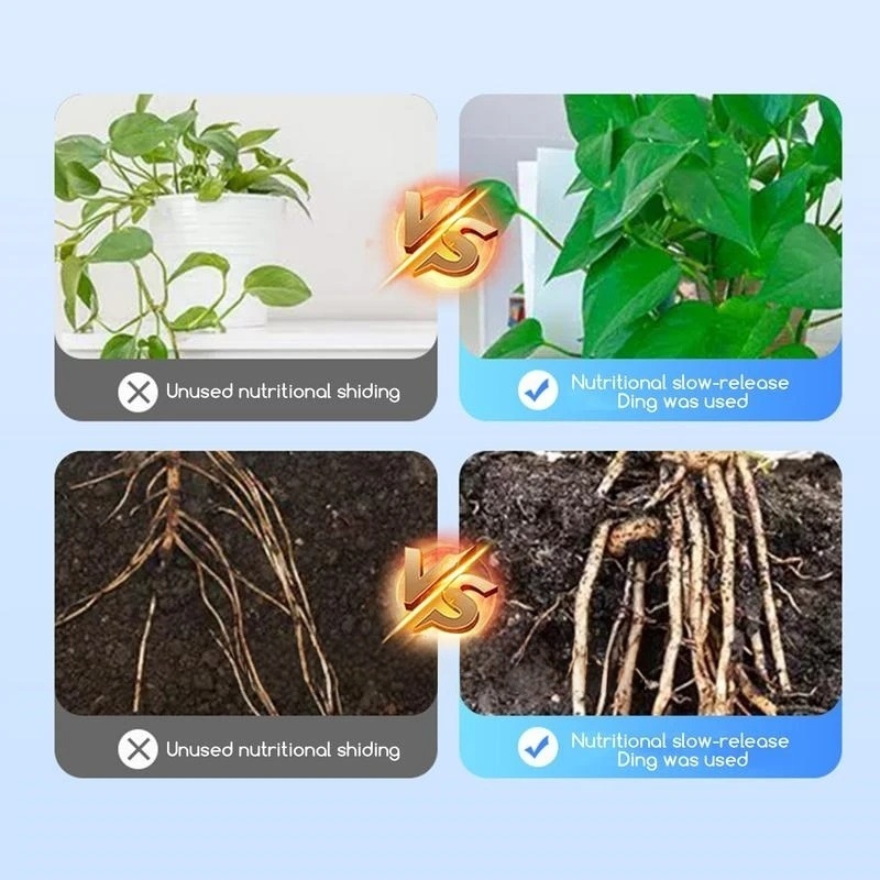 2bags Rooting Hormone Powder U - Rooting Hormone Powder avis et prix