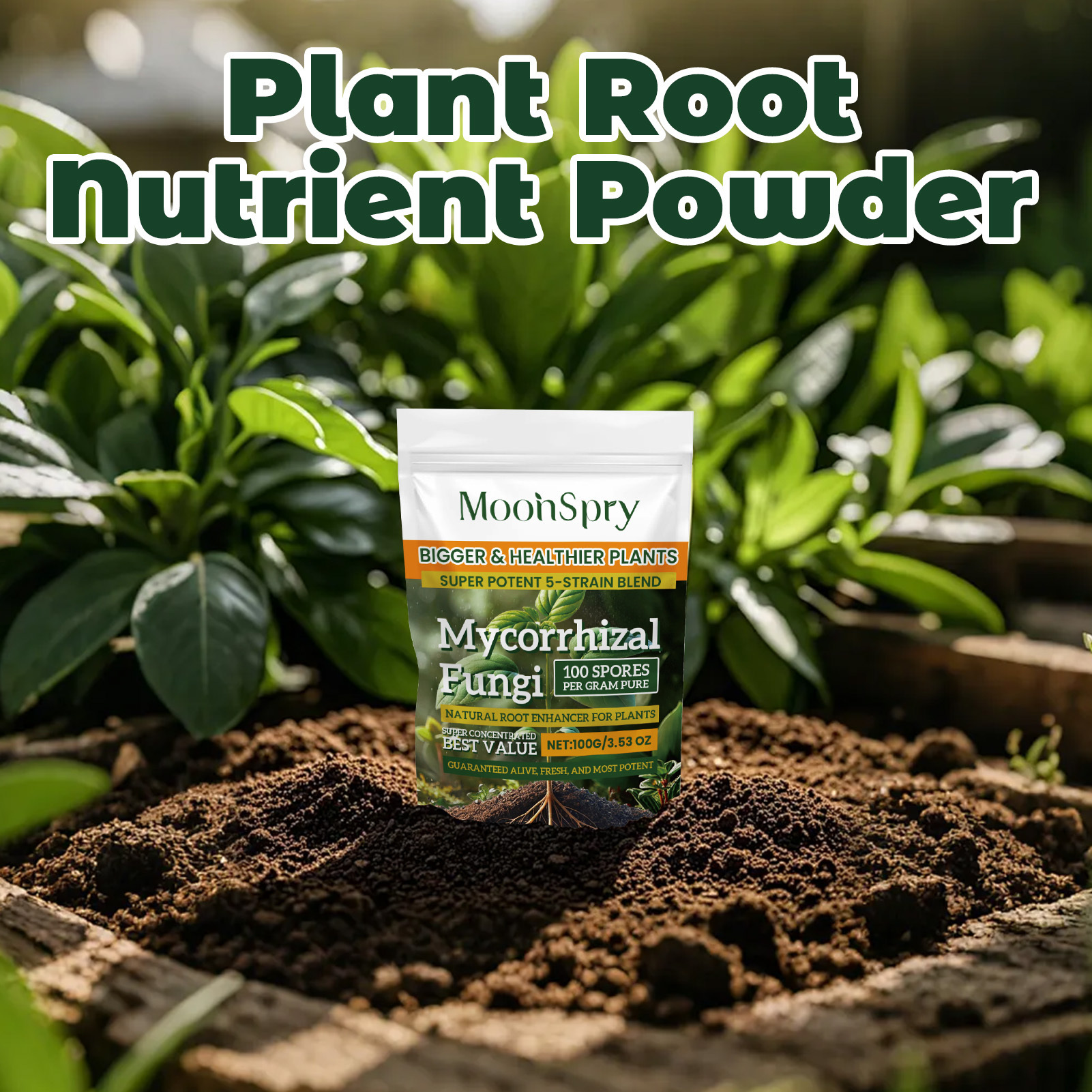 3Pack Root Stimulator Powder f - Rooting Hormone Powder avis et prix