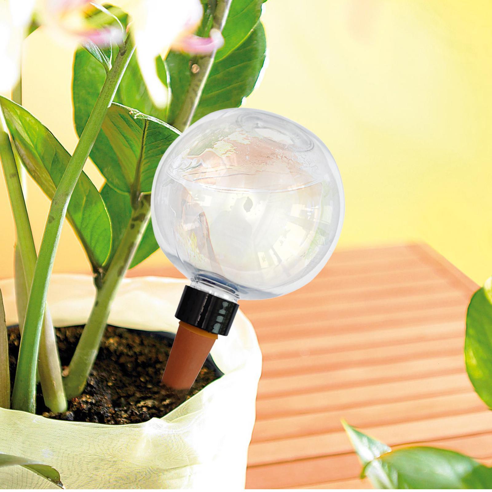 500ml Automatic Plant Watering - Self Watering Insert avis et prix
