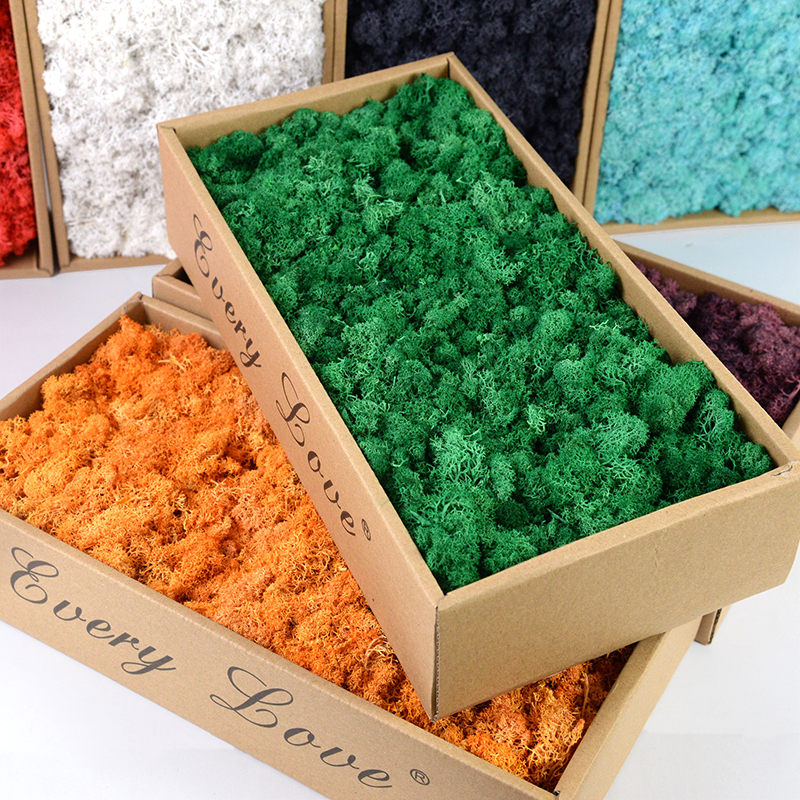 40/20g Artificial Moss Grass G - Sphagnum Moss Dry avis et prix