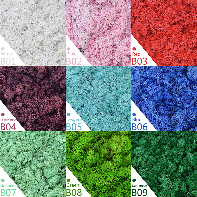 40/20g Artificial Moss Grass G - Sphagnum Moss Dry avis et prix