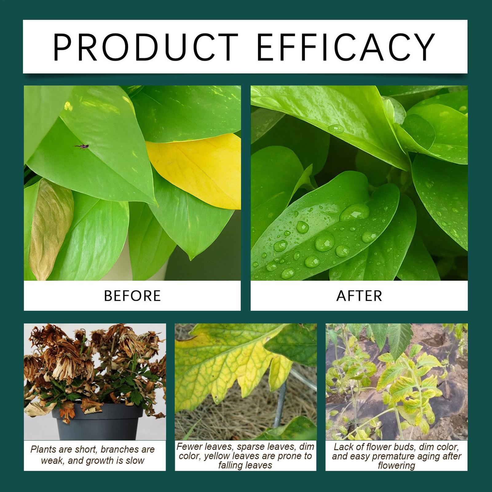 100ml Plant Rooting Liquid Dro - Root Stimulator Liquid avis et prix