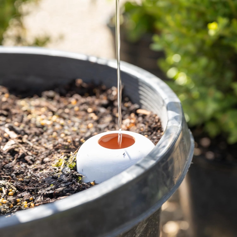 Plant Watering Ball, Terracott - Self Watering Insert avis et prix