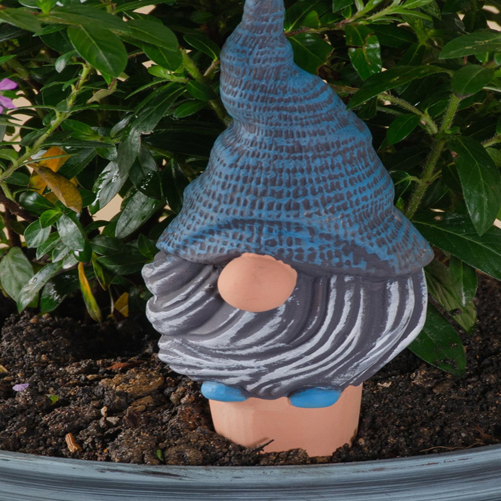 Automatic Potted Plant Waterin - Self Watering Insert avis et prix